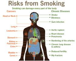 bad effects of tobacco on our body