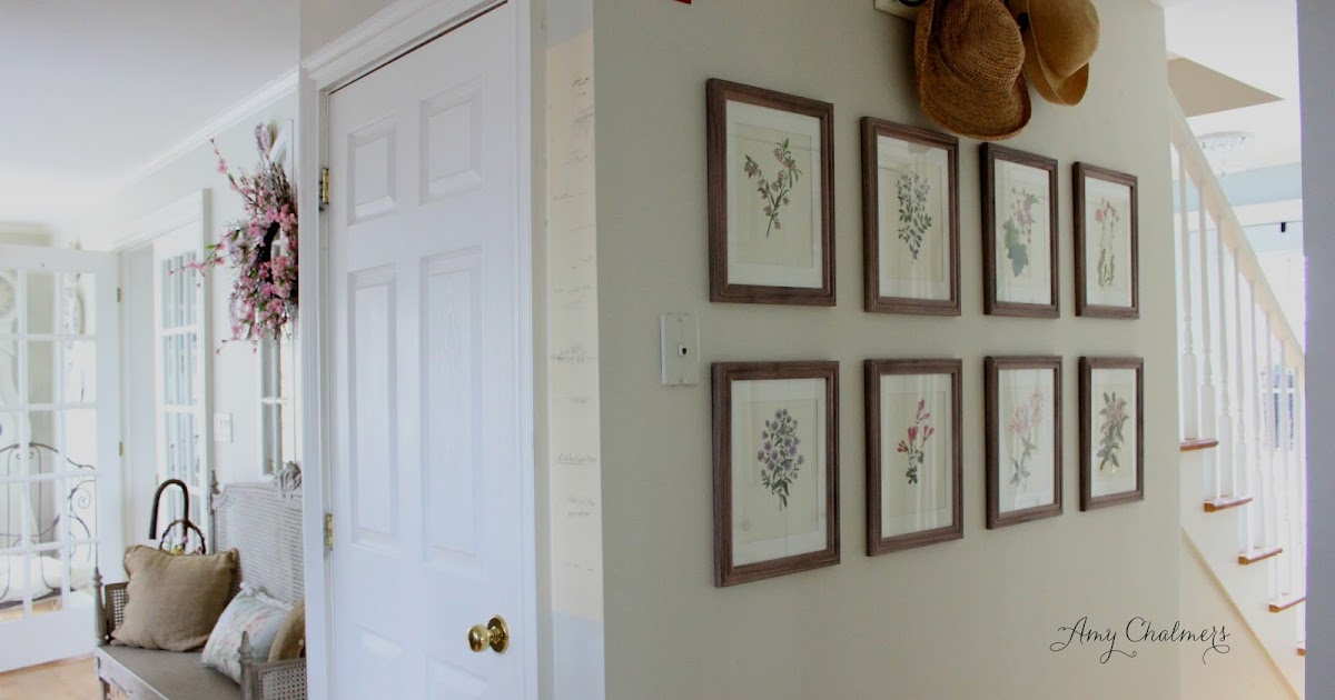Maison Decor Create a Botanical Wall Grouping
