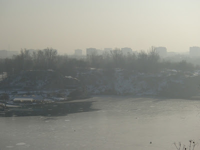 grzyby w styczniu, grzyby nadrzewne, spacer w zimie, zimowy las, smog w Krakowie