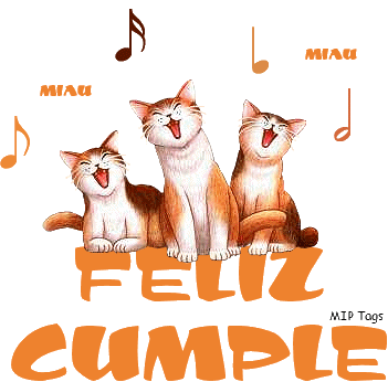 Gatos Cantandote La Cancion De Feliz Cumpleanos ツ