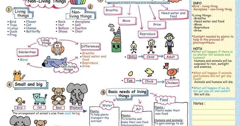 Sains Dlp Tahun 1 / Bank soalan koleksi ujian pertengahan tahun sains