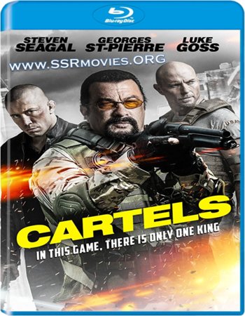 Cartels (2017) Dual Audio Hindi 720p BluRay