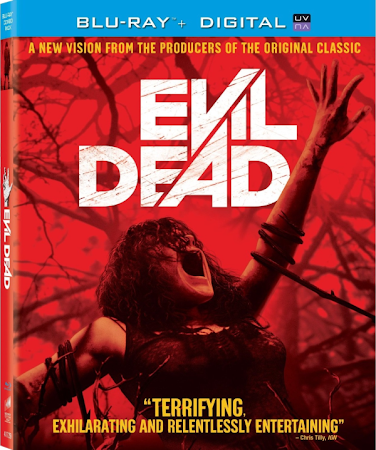 Evil.Dead.2013.1080p.BluRay.png
