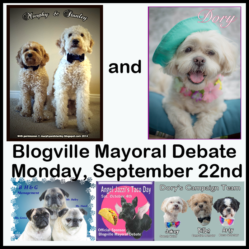 MAYORAL DEBATE 9/22/14