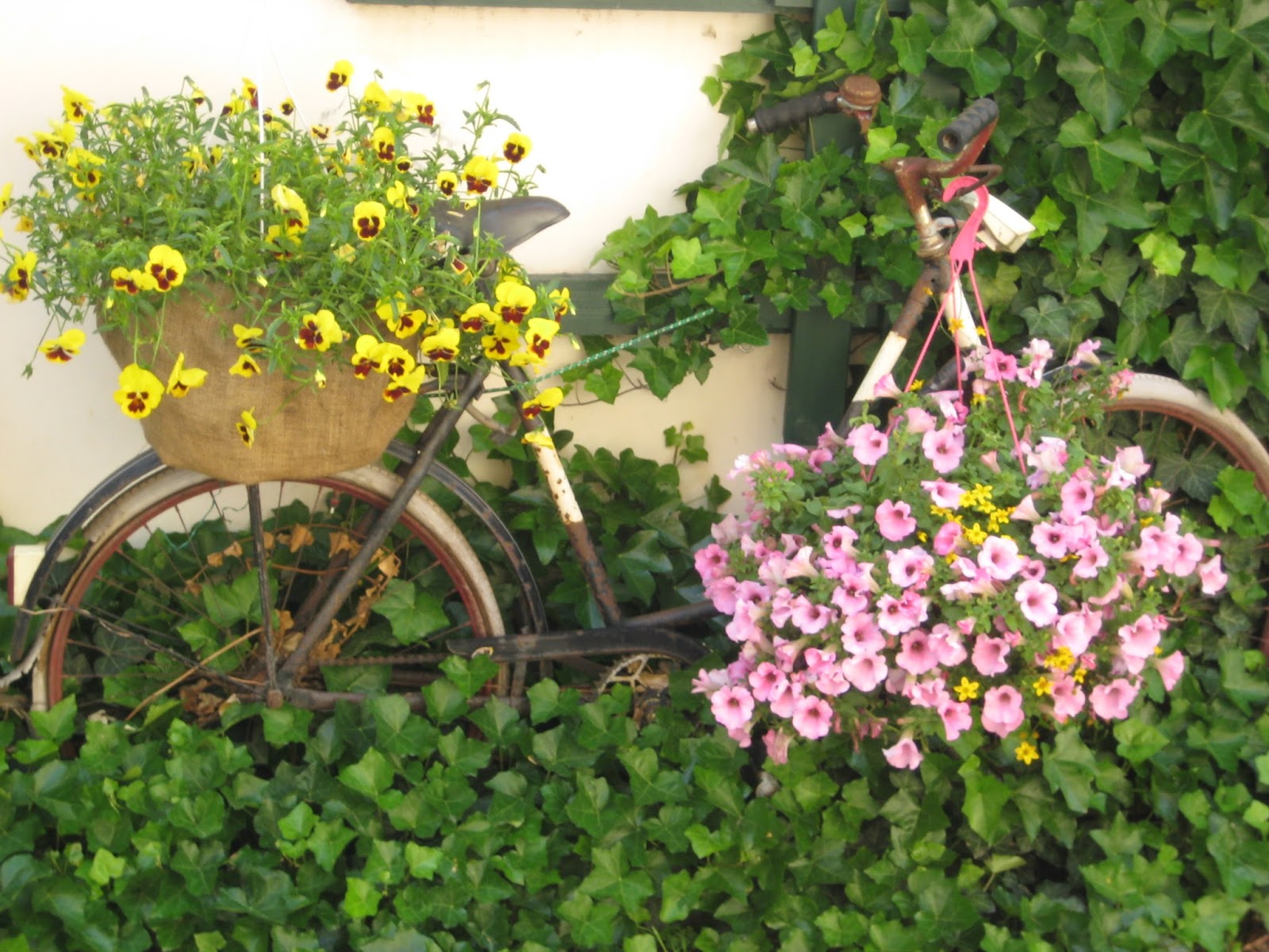 [Rezension] Designgärten für kleine Budgets Vorhernachher 12 Gärten