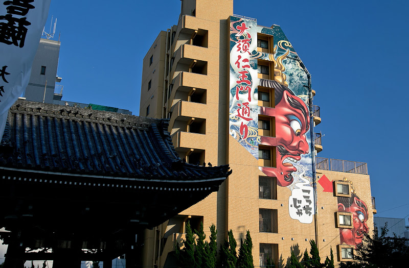 富貴蘭の栽培記