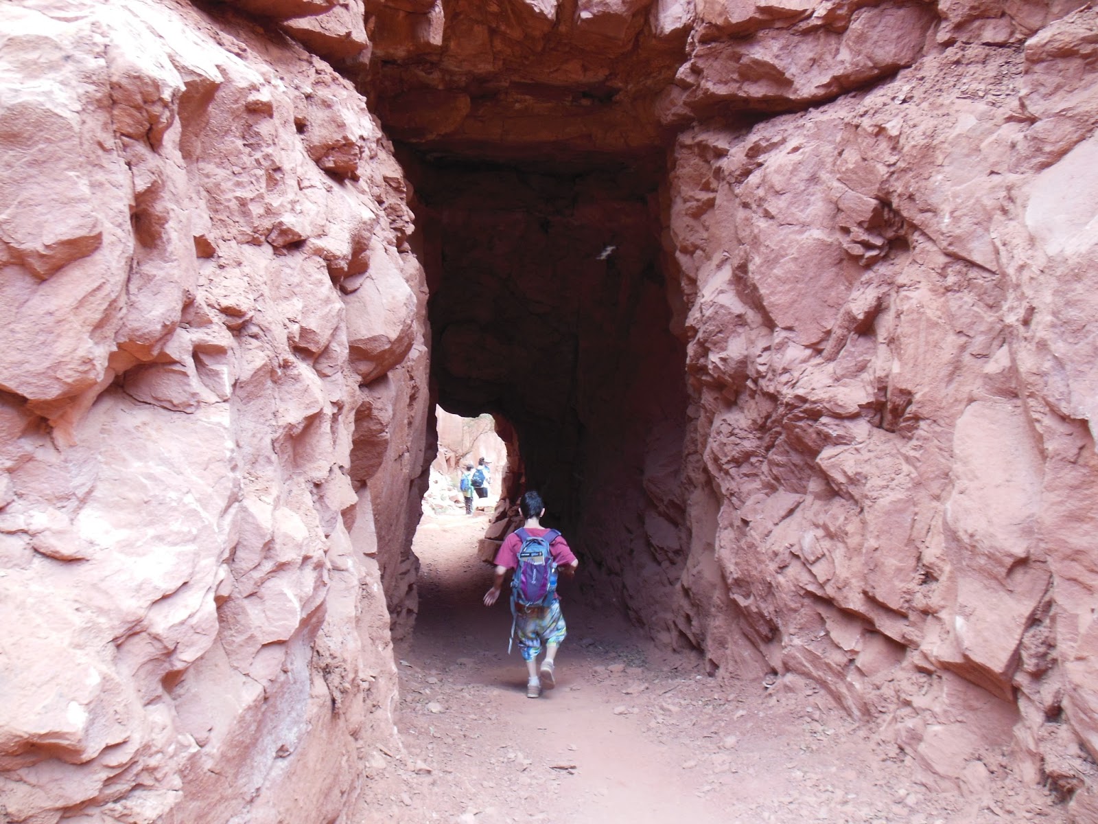Road Schooling in America The Grand Canyon North Rim Hiking the North Kaibab Trail