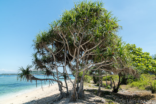 Gili Meno