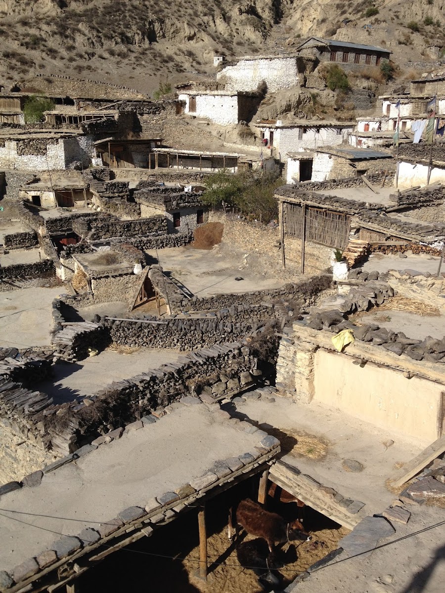 200км по красно-белым черточкам.. Around Annapurna. март-апрель 2017