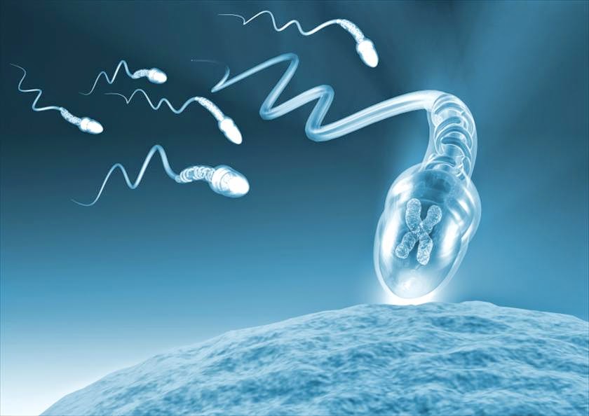 避免環境賀爾蒙傷害你的健康 Avoid environmental hormones harm your health