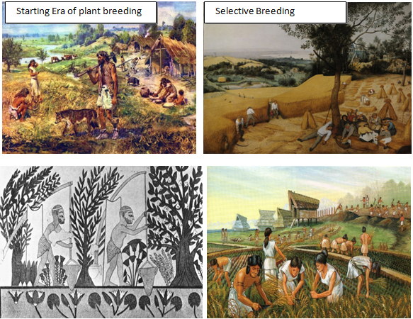 BIOTECH WORLD: Do you Really Know The Founders Of Biotechnology