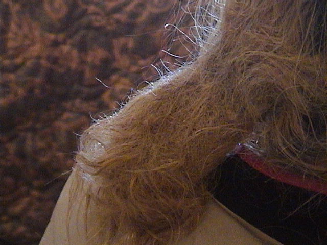 Tangled Hair Techs: 1 Year Matted Tangled Mess-Literally, a life ...