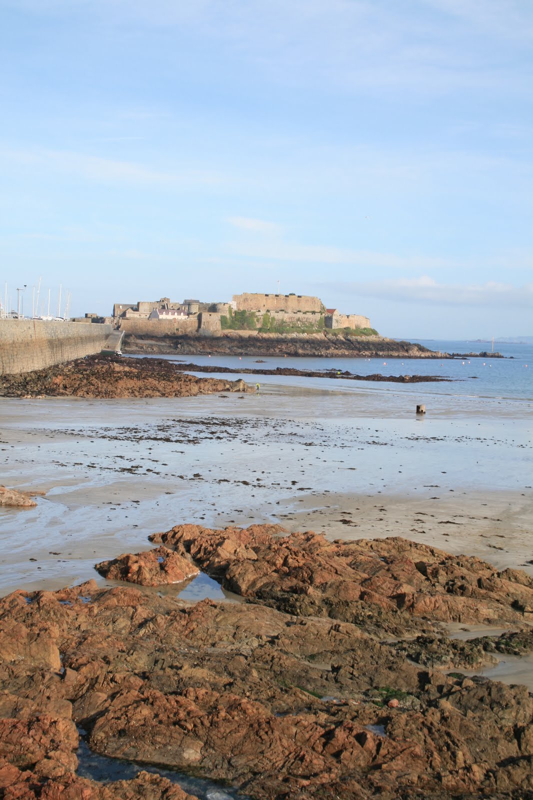 Carl s Guernsey Adventure Worthless Guernsey Trivia carl-s-guernsey-adventure-worthless-guernsey-trivia