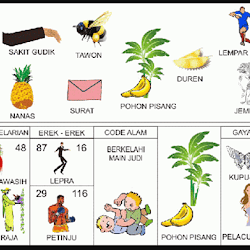 Unduh Kumpulan Koleksi Gambar Erek Erek Buah Buahan Paling Baru Gratis Hd -  Pixabay Pro