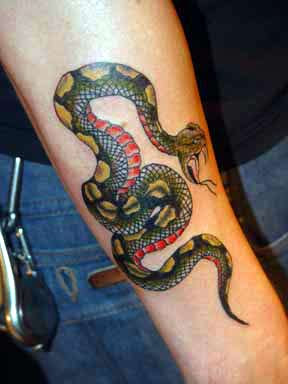 3D Snakes Tattoo on Forearms