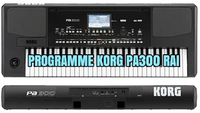 Télécharger Programme Rai Korg Pa300 Original Gratuit 