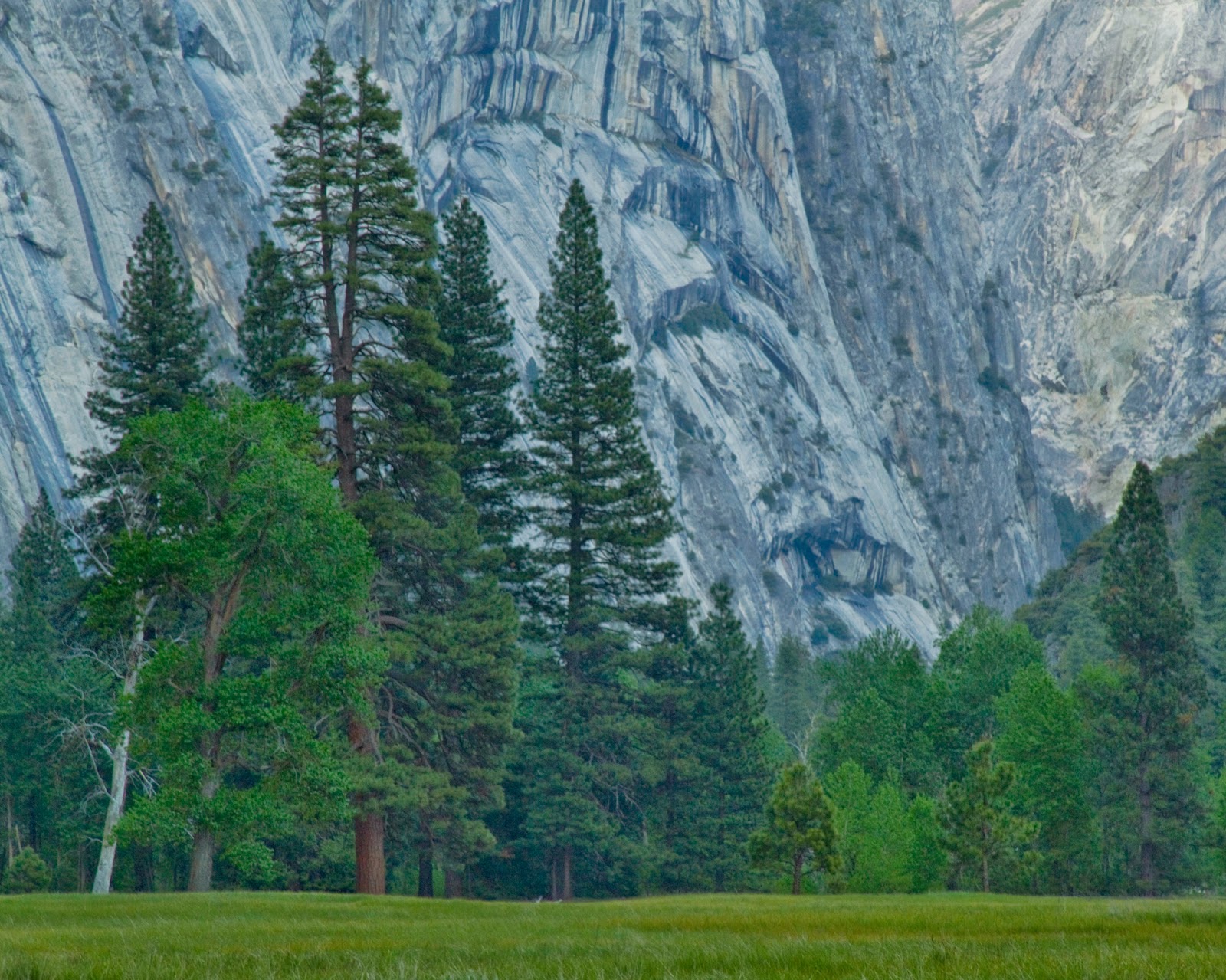 Josh Friedman Photography: Yosemite National Park in ...