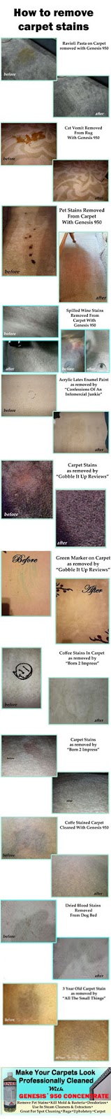 best carpet cleaning solution