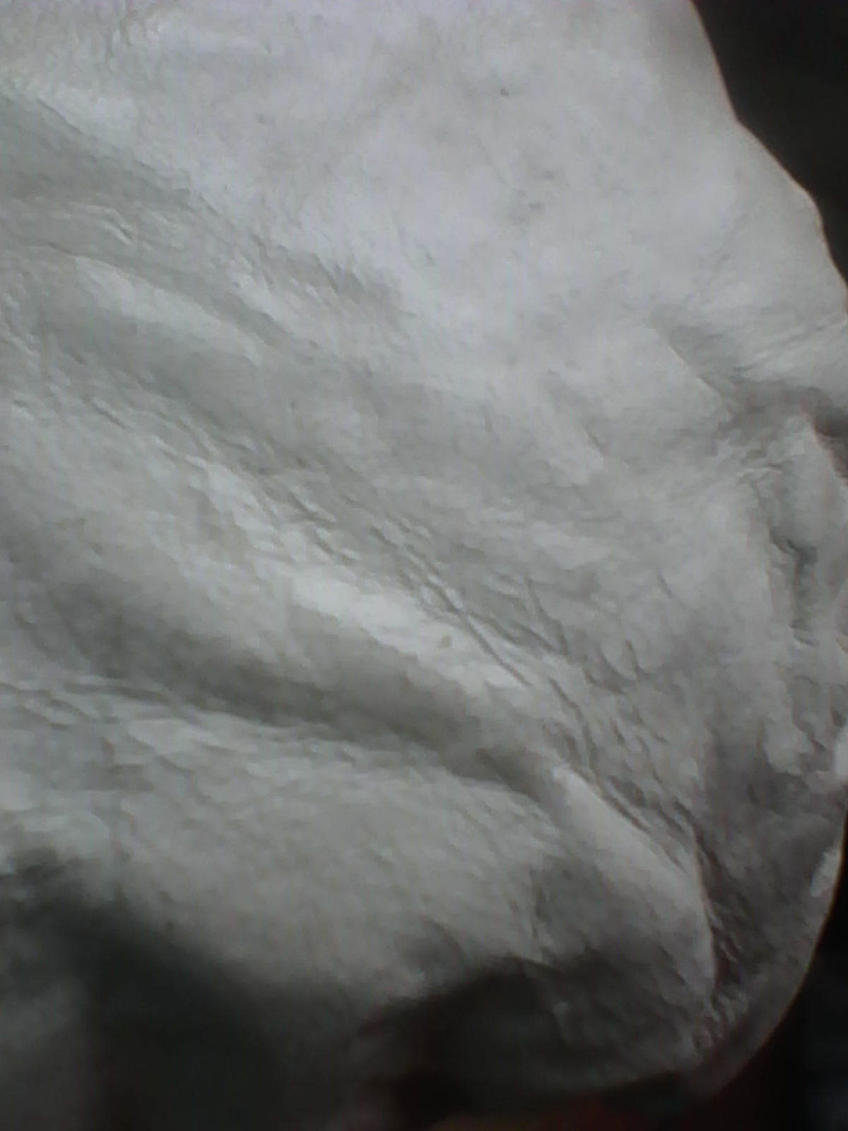 Teñido Muebles de Cuero-Restauracion-Reparacion: mayo 2011