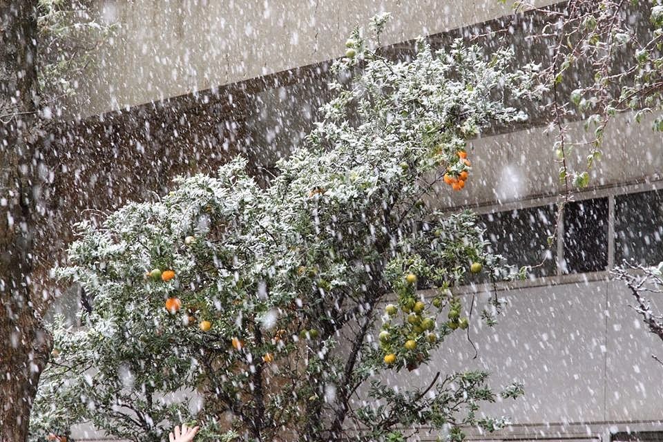 капризы погоды три