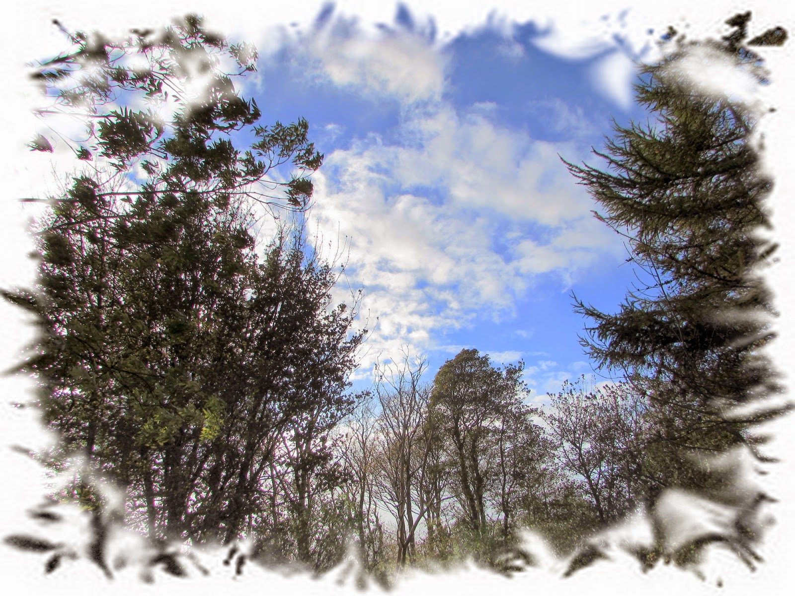 The Glebe Blog A visit to Ravenstone Castle, Wigtownshire