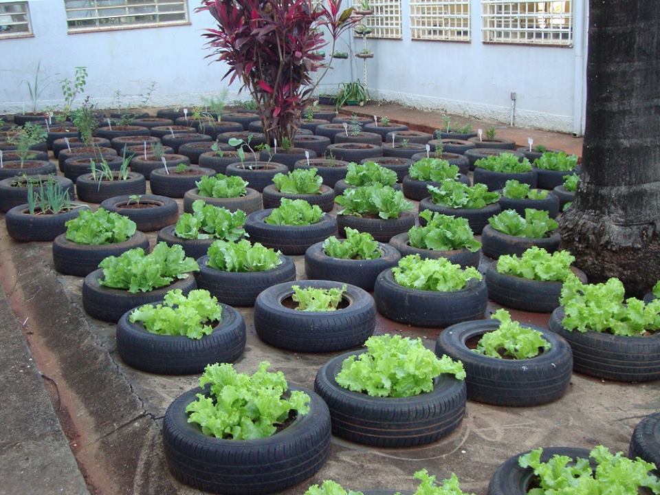 HORTA NA ESCOLA - SUGESTÕES — SÓ ESCOLA