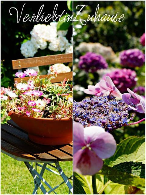 Blumen im Detail: Links Mittagsblume. Rechts Hortensie.