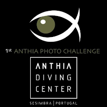 1º ANTHIA PHOTO CHALLENGE 2012