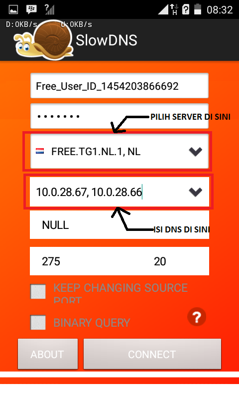 Альтернативный и предпочитаемый днс сервер. Частный днс сервер на айфон. Код днс сервера. Нулс днс не работает. 222.