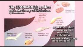 If the theory of evolution was correct, we could do the same action and concept as numbers, count and start them from 1 to 100. Just as 100 numbers. In every number as it counts up we would see a minor change. Until we see every living creature has transformed into every living arthropod, insect, and animal living today or discovered in the fossil record.