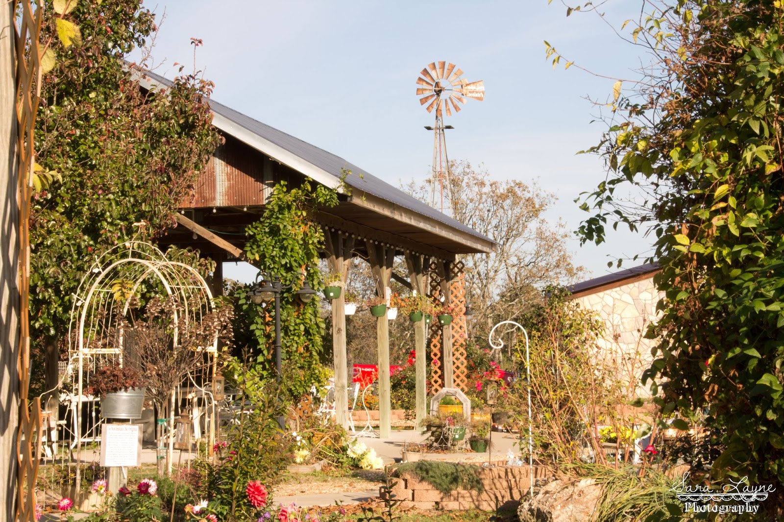 Sweet Magnolias Farm The things that hide in the countryside