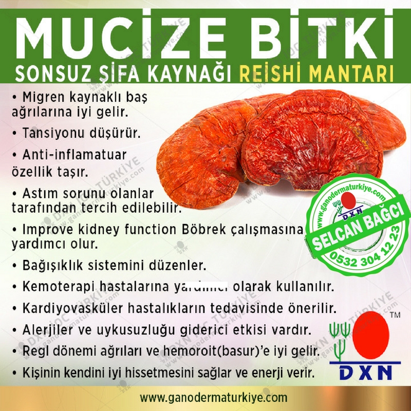 Dxn Turkey Leader Selcan Bağcı En Büyük Ekip 0532.3041223