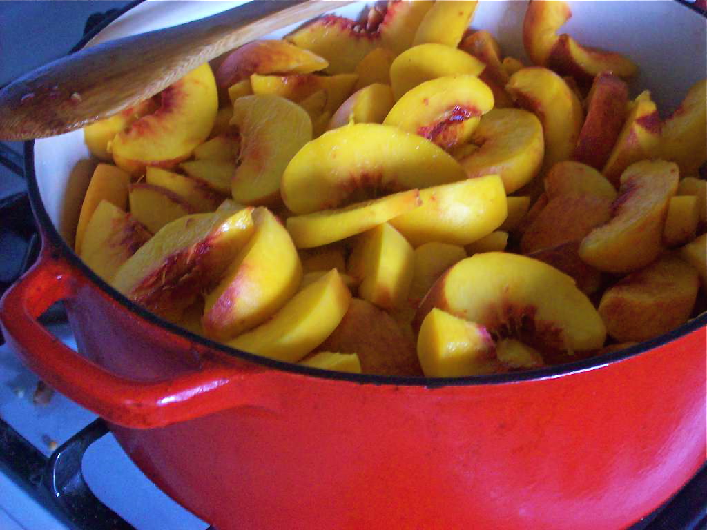 herban homestead making fruit leather