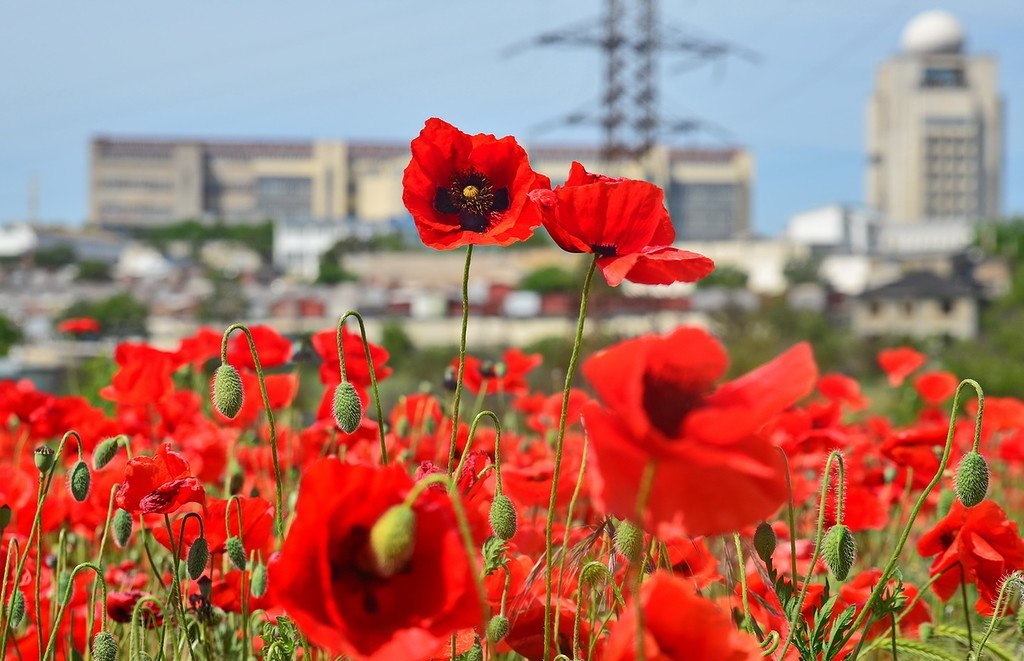 Мак тур москва Мак тур москва