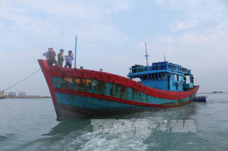 Tàu lạ nổ súng xối xả vào tàu cá Quảng Ngãi, 1 ngư dân thiệt mạng