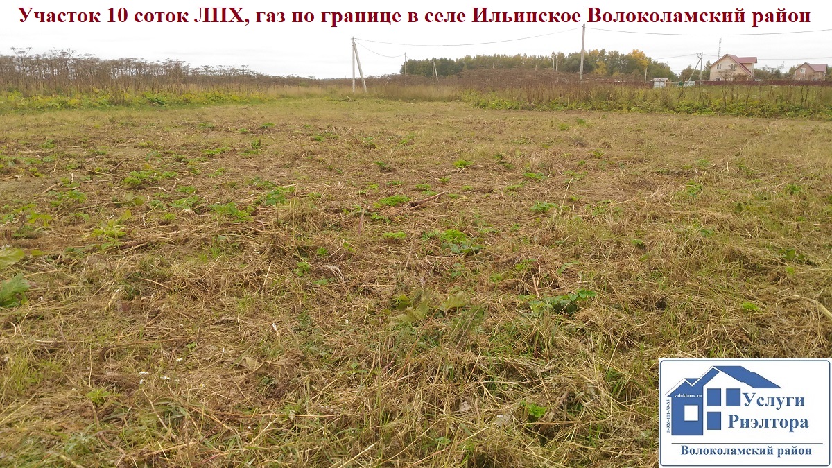 Eastландия коттеджный поселок. деревня пашково волоколамский район. коттеджный поселок исландия волоколамск. поселок рузские дачи. храм в деревне матренино волоколамский район.