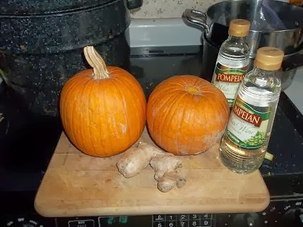 pickles pumpkin baking adventures probably run need