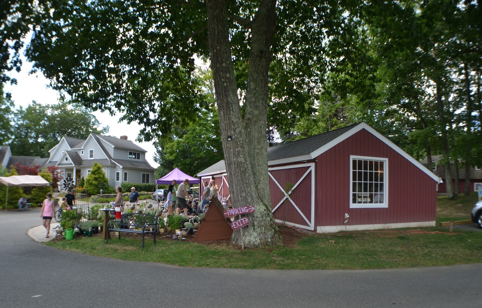 Focus On Killingworth, CT and Surrounding Towns Lavender Pond Farm
