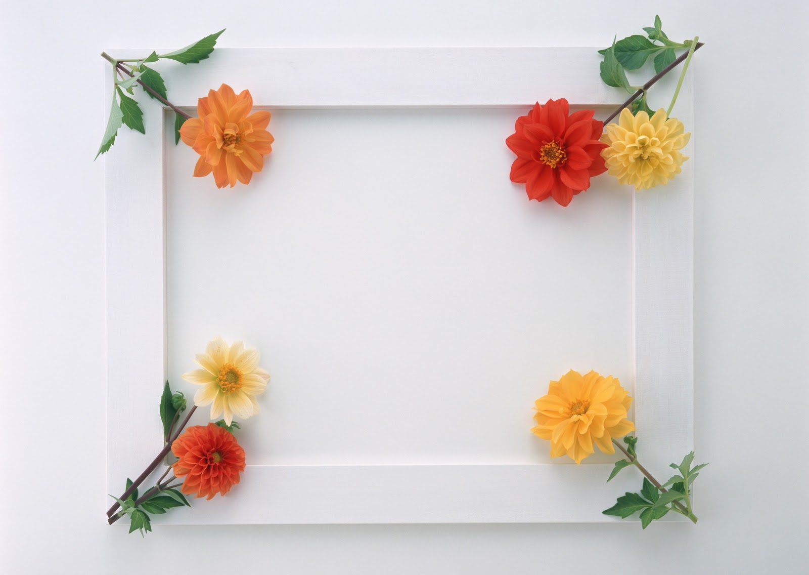 Photo frame — Flower romance — Милые Картинки