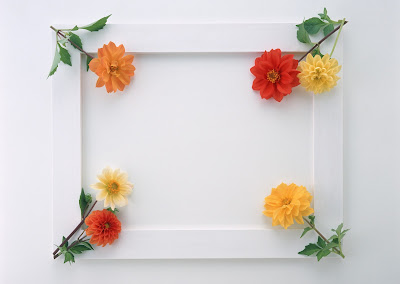 Sunflower Fragrance Pictures frames