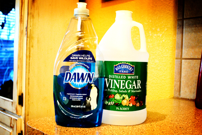 Natural Vinegar Cleaner Recipe- Homemade DIY - Melissa K. Norris