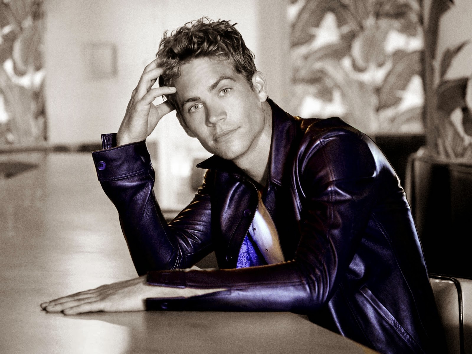 hollywood hot actor paul walker hd wallpapers 2105 images photoshoot hollywood hot actor paul walker hd wallpapers 2105 images photoshoot