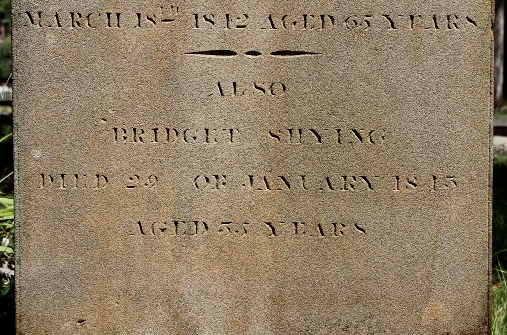 THE PIGOTT FAMILY OF QUEEN'S COUNTY, IRELAND; SOME ANCESTRAL