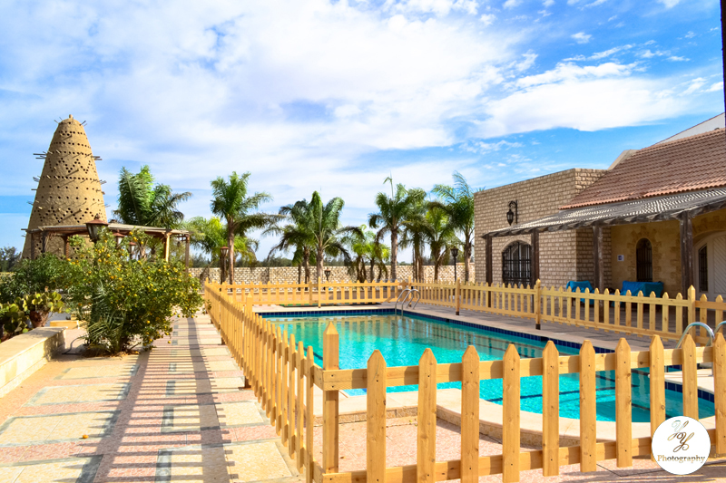 Arty Science Farm First Trip Y Y Photography arty-science-farm-first-trip-y-y-photography