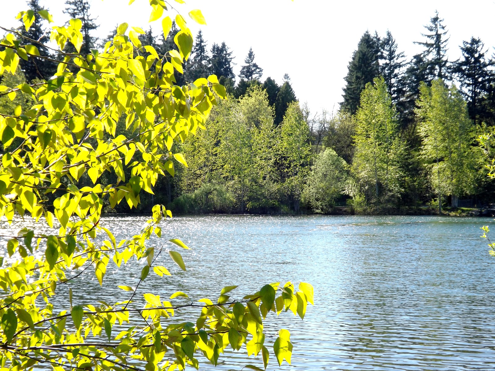 Wapato Park Wa. Photography By Gary Graefen