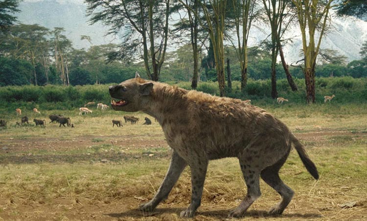 Os Fantásticos Animais do Planeta: Pachycrocuta brevirostris : A maior