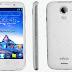 Infinix X450, Race Bolt Stock ROM Download: MTK Backup