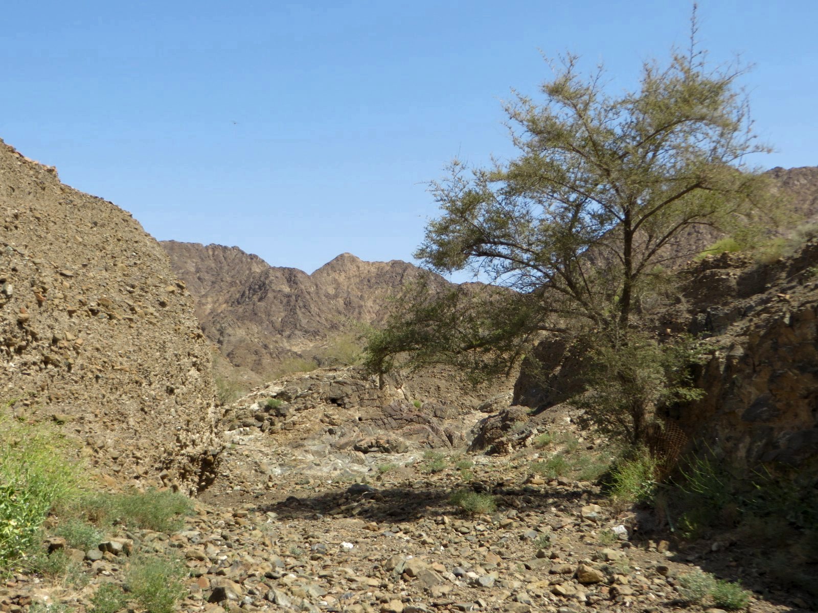 Generation Y Zu Blod Fur Die Liebe