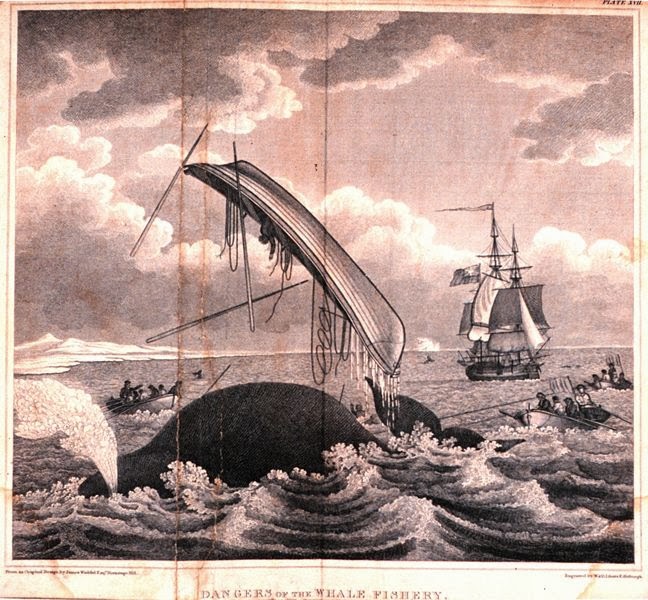 A Rotherhithe Blog: Whaling at Howland / Greenland Dock 1763-1806