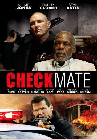 Checkmate 2015 BluRay 300Mb Hindi Dual Audio 480p Watch Online Full Movie Download bolly4u